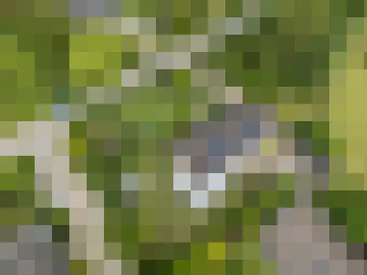 Onderweg 45 Arkel thumbnail 36