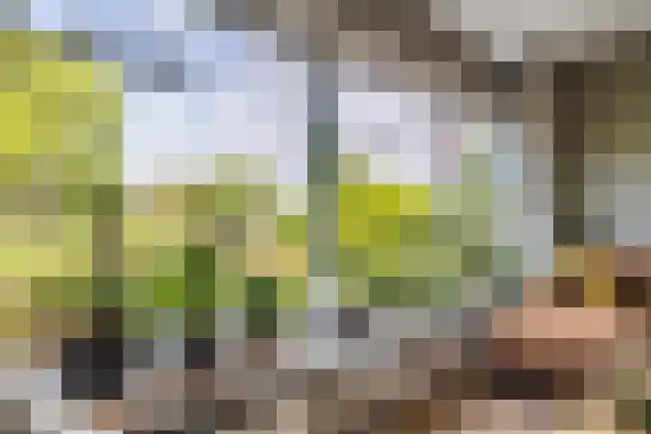 Onderweg 45 Arkel thumbnail 8