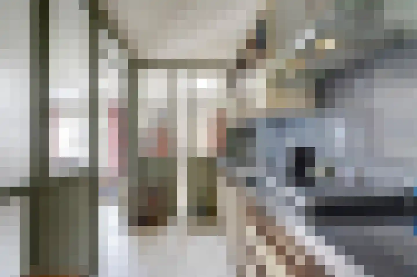 Onderweg 46 Koudum thumbnail 15