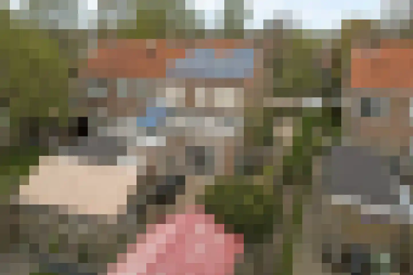 Onderweg 46 Koudum thumbnail 27
