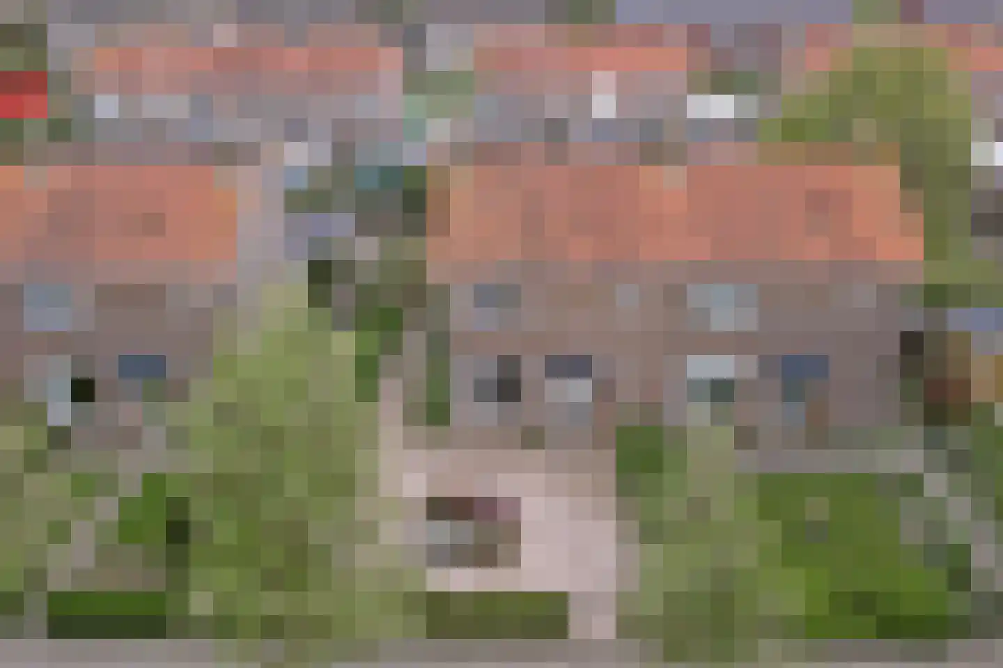 Onderweg 46 Koudum thumbnail 28