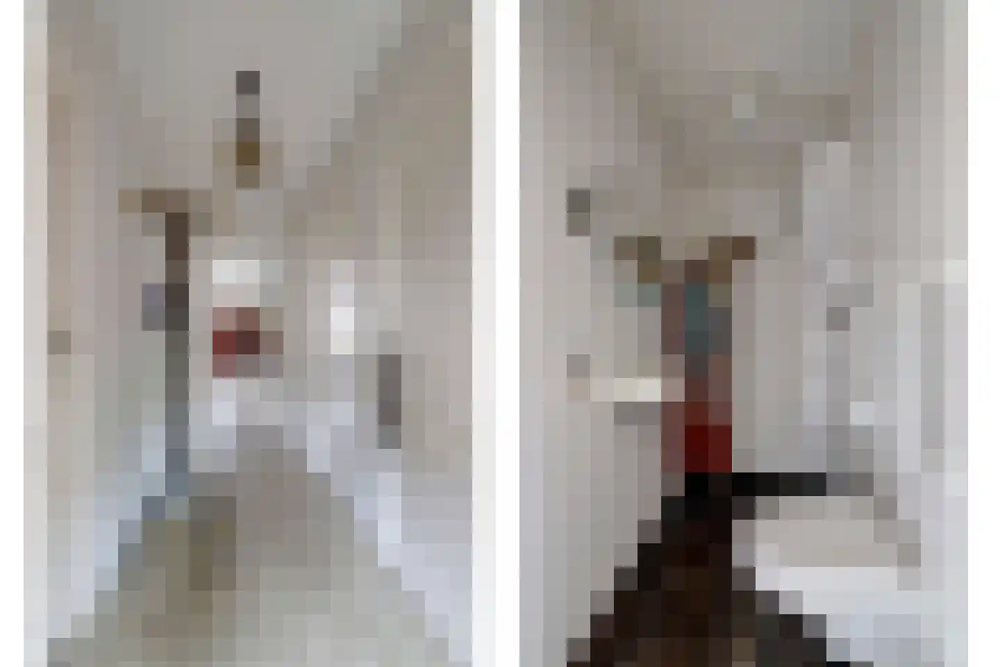 Onderweg 46 Koudum thumbnail 6