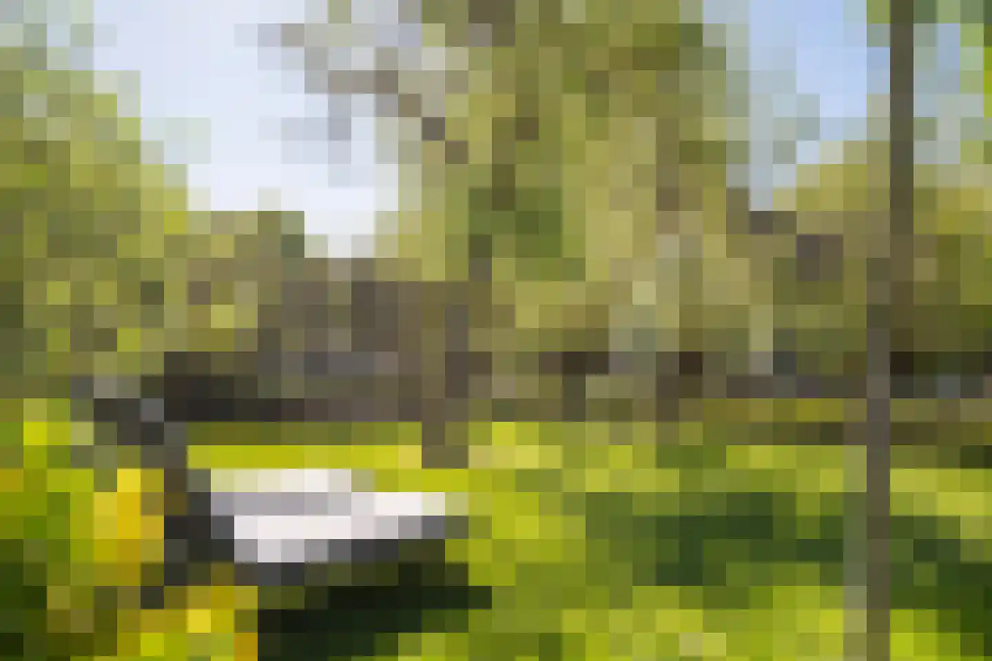 Onderweg 9 Hoogblokland thumbnail 11