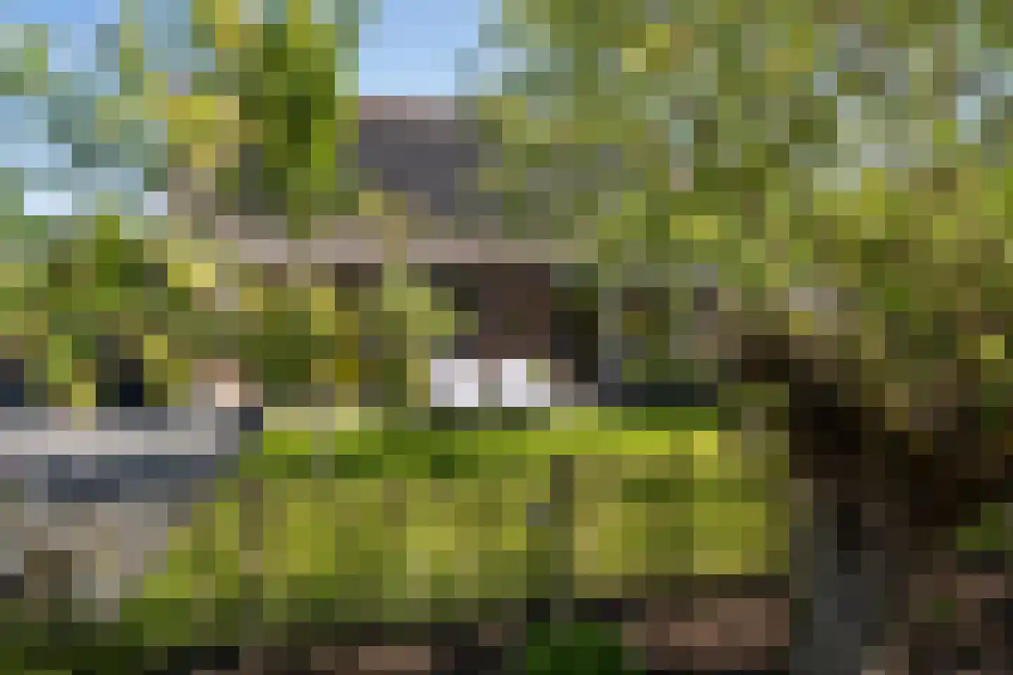 Onderweg 9 Hoogblokland thumbnail 14