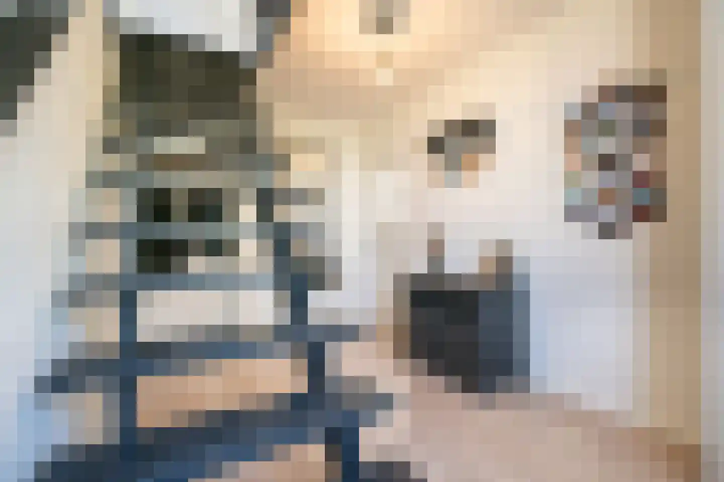 Onderweg 9 Hoogblokland thumbnail 17