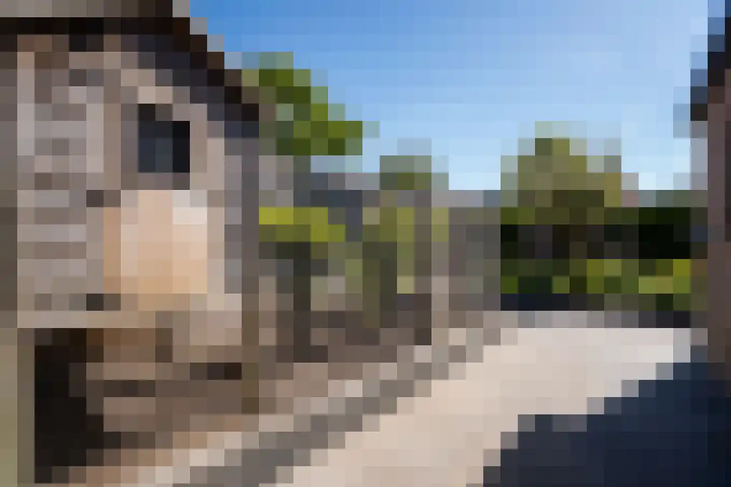 Onderweg 9 Hoogblokland thumbnail 52