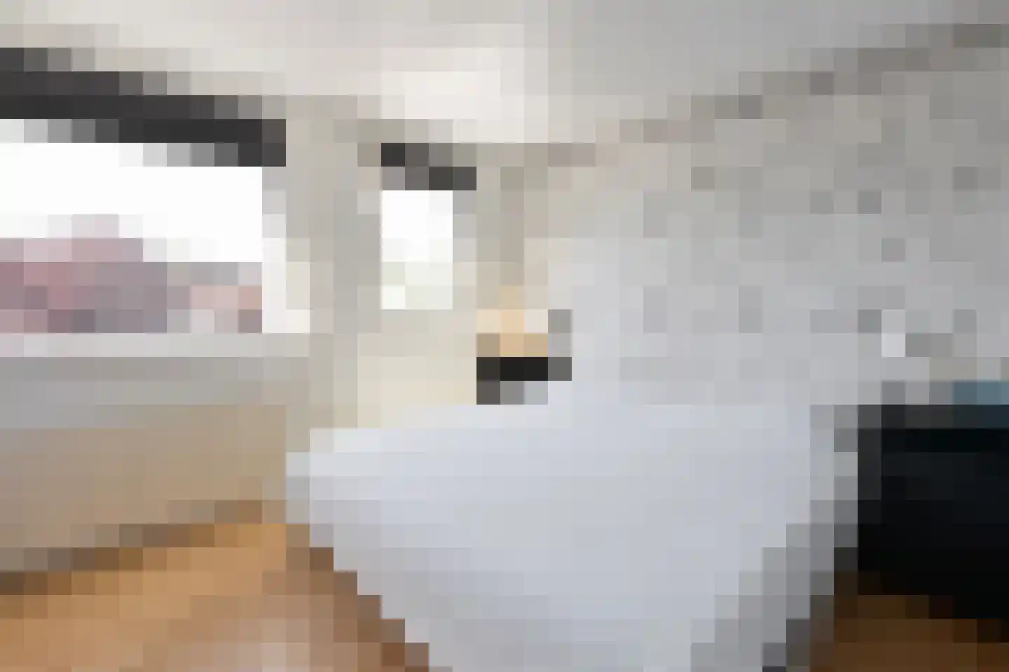 Onderwei 18 Huizen thumbnail 8