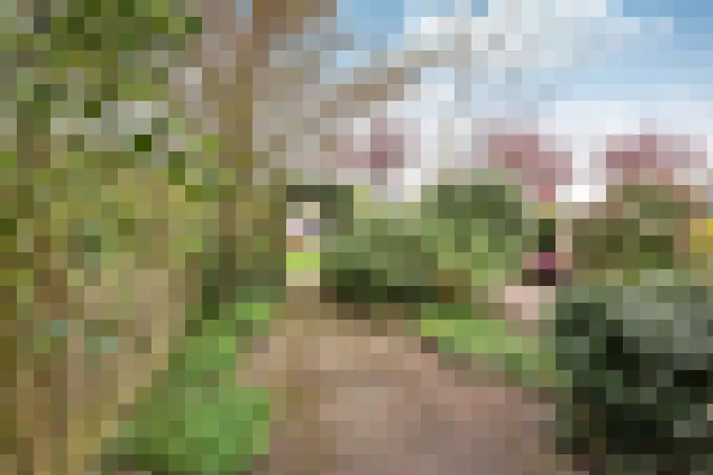 Onderwei 22 Huizen thumbnail 15