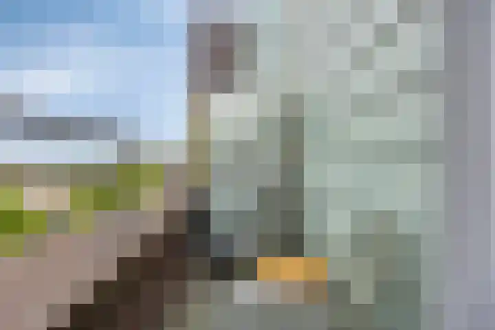 Onderwijsboulevard 138 's-Hertogenbosch thumbnail 18