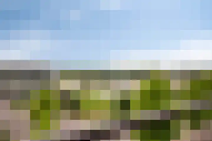 Onderwijsboulevard 138 's-Hertogenbosch thumbnail 19