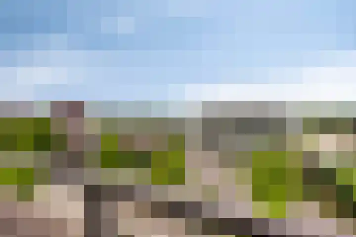 Onderwijsboulevard 138 's-Hertogenbosch thumbnail 20