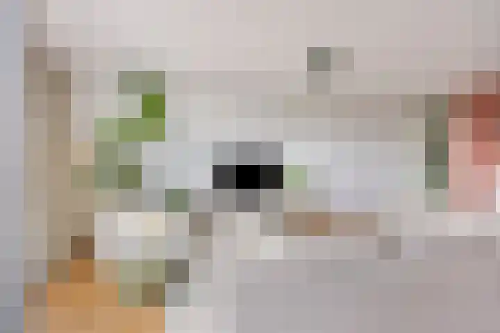 Onderwijsboulevard 138 's-Hertogenbosch thumbnail 4
