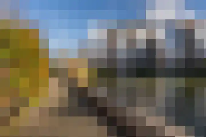 Onderwijsboulevard 150 's-Hertogenbosch thumbnail 23