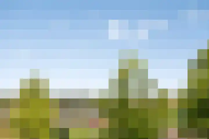 Onderwijsboulevard 158 's-Hertogenbosch thumbnail 22