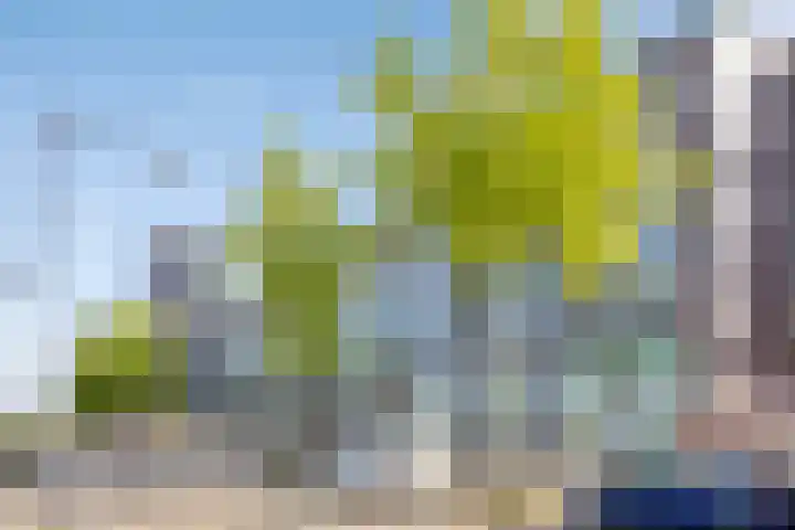 Onderwijsboulevard 158 's-Hertogenbosch thumbnail 34