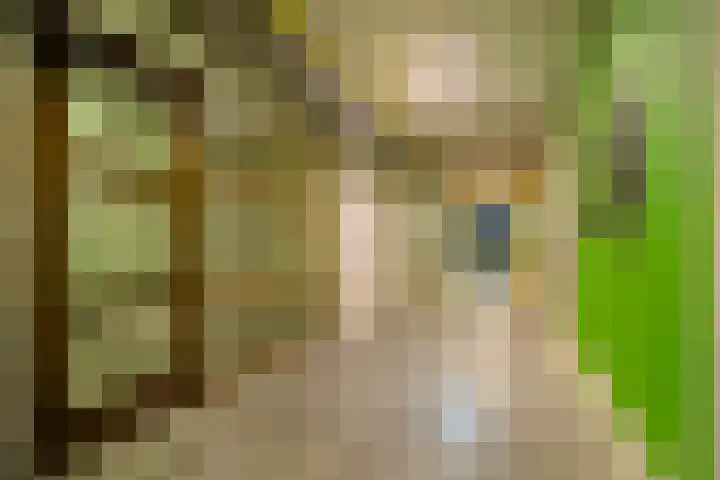 Onderwijsboulevard 174 's-Hertogenbosch thumbnail 41
