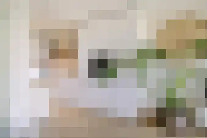Onderwijsboulevard 174 's-Hertogenbosch thumbnail 6