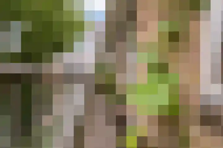 Onderwijsboulevard 32 's-Hertogenbosch thumbnail 11