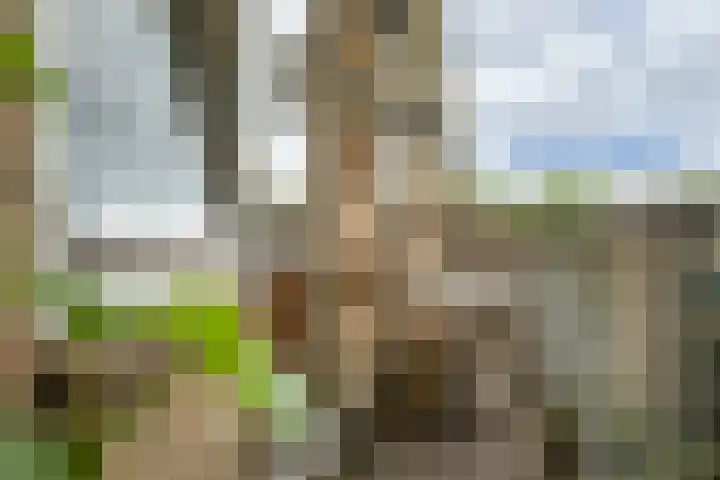 Onderwijsboulevard 32 's-Hertogenbosch thumbnail 25