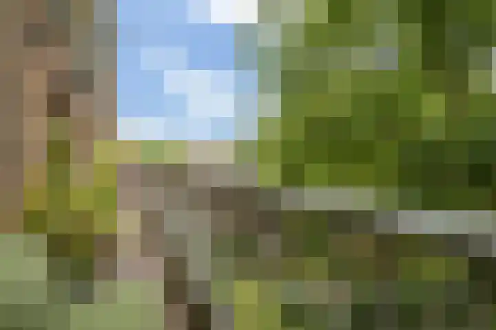 Onderwijsboulevard 32 's-Hertogenbosch thumbnail 27