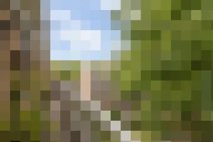 Onderwijsboulevard 32 's-Hertogenbosch thumbnail 32