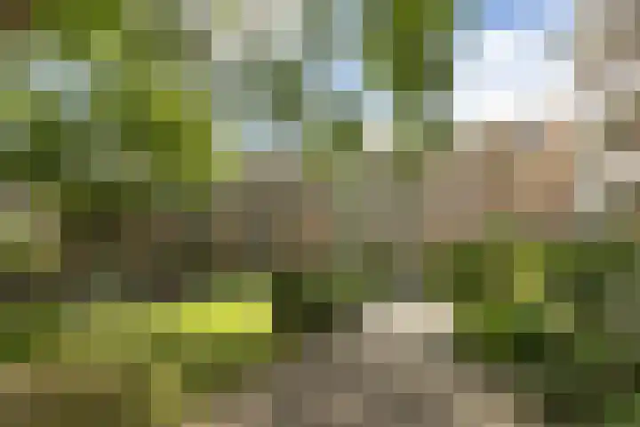 Onderwijsboulevard 32 's-Hertogenbosch thumbnail 35