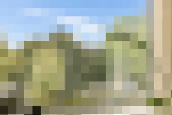 Onderwijsboulevard 32 's-Hertogenbosch thumbnail 8