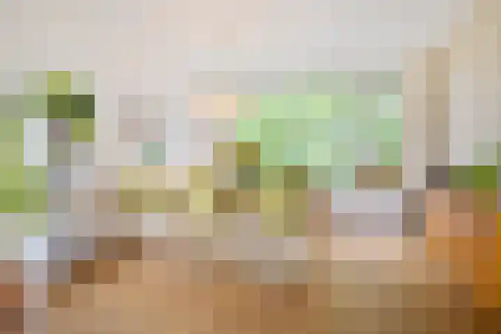 Onderwijsboulevard 32 's-Hertogenbosch thumbnail 9