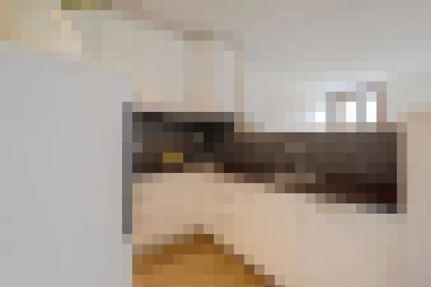 Onderwijsboulevard 350 's-Hertogenbosch thumbnail 11
