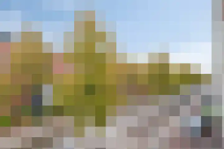 Onderwijsboulevard 362 's-Hertogenbosch thumbnail 15