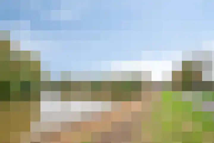 Onderwijsboulevard 362 's-Hertogenbosch thumbnail 28