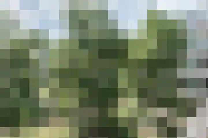 Onderwijsboulevard 362 's-Hertogenbosch thumbnail 30