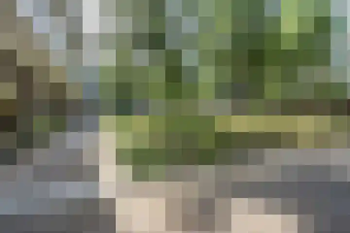 Onderwijsboulevard 362 's-Hertogenbosch thumbnail 31