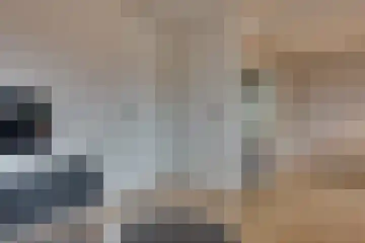 Onderwijsboulevard 390 's-Hertogenbosch thumbnail 6