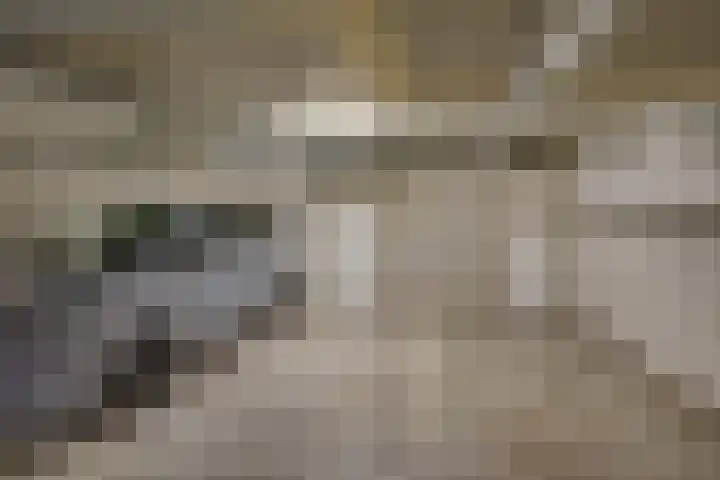 Onderwijsboulevard 410 's-Hertogenbosch thumbnail 15