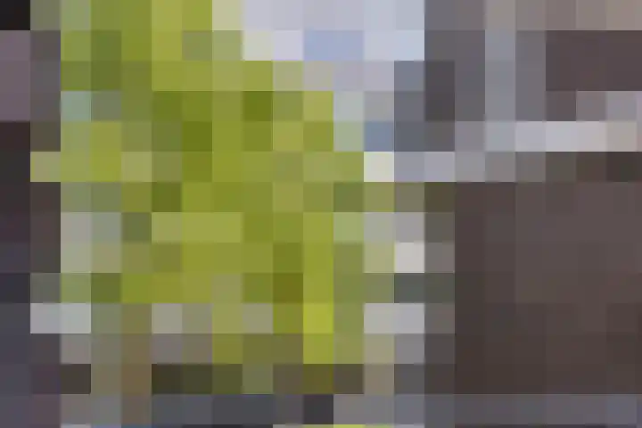 Onderwijsboulevard 432 's-Hertogenbosch thumbnail 10