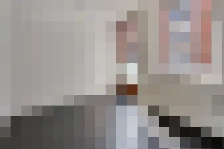 Onderwijsboulevard 432 's-Hertogenbosch thumbnail 15