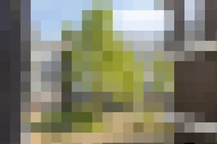 Onderwijsboulevard 432 's-Hertogenbosch thumbnail 19