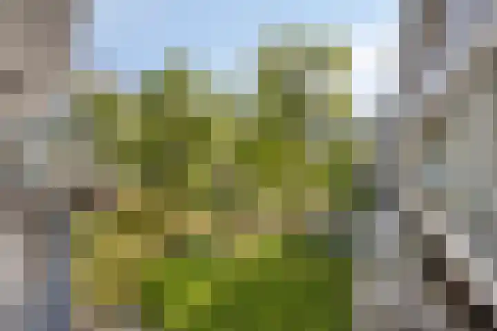 Onderwijsboulevard 432 's-Hertogenbosch thumbnail 20