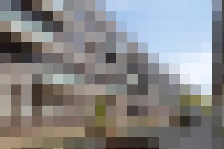 Onderwijsboulevard 432 's-Hertogenbosch thumbnail 26