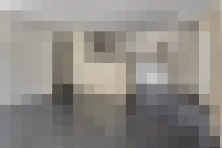 Onderwijsboulevard 432 's-Hertogenbosch thumbnail 4
