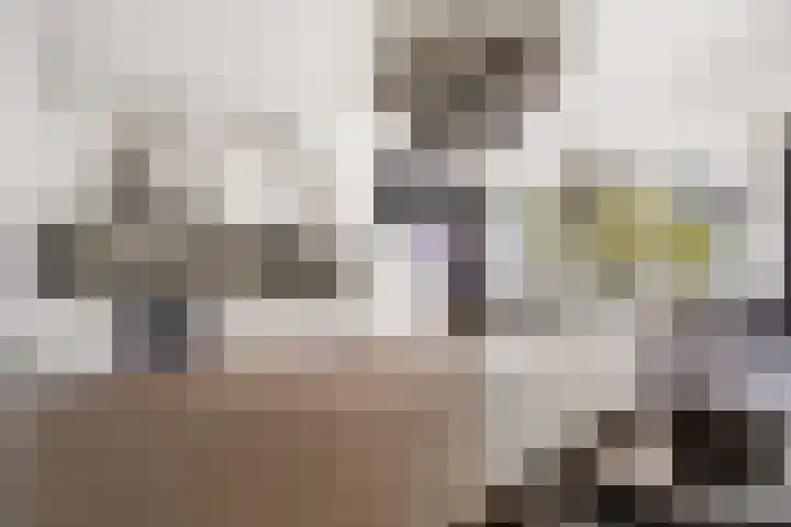 Onderwijsboulevard 450 's-Hertogenbosch thumbnail 11