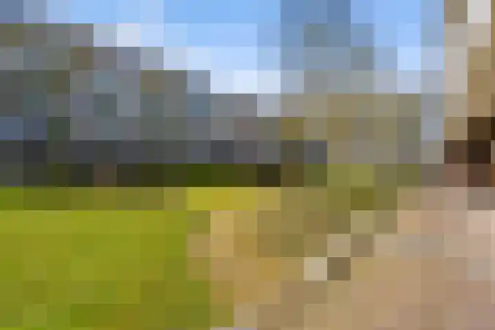 Onderwijsboulevard 450 's-Hertogenbosch thumbnail 22
