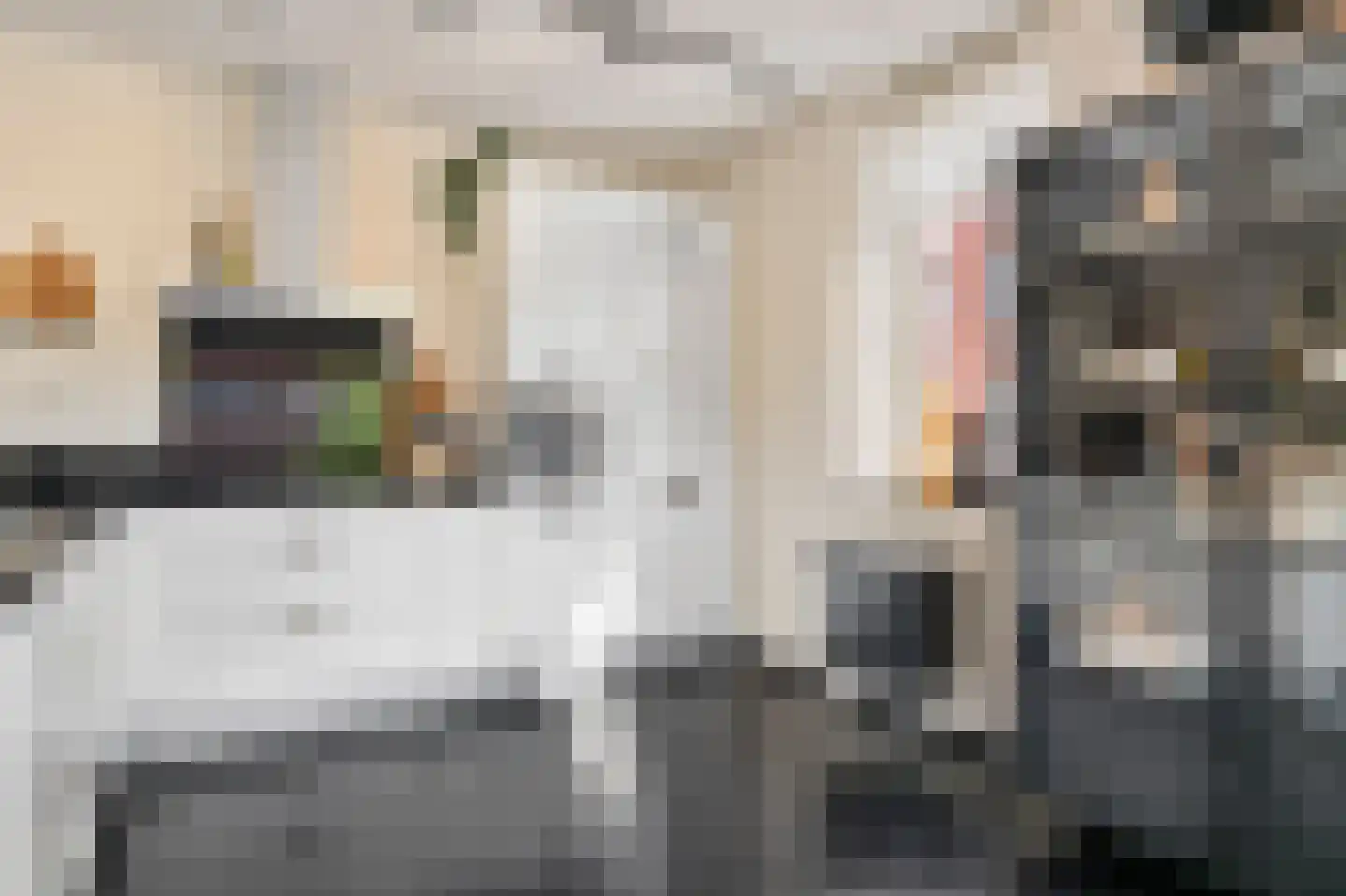 Onderwijsboulevard 460 's-Hertogenbosch thumbnail 11