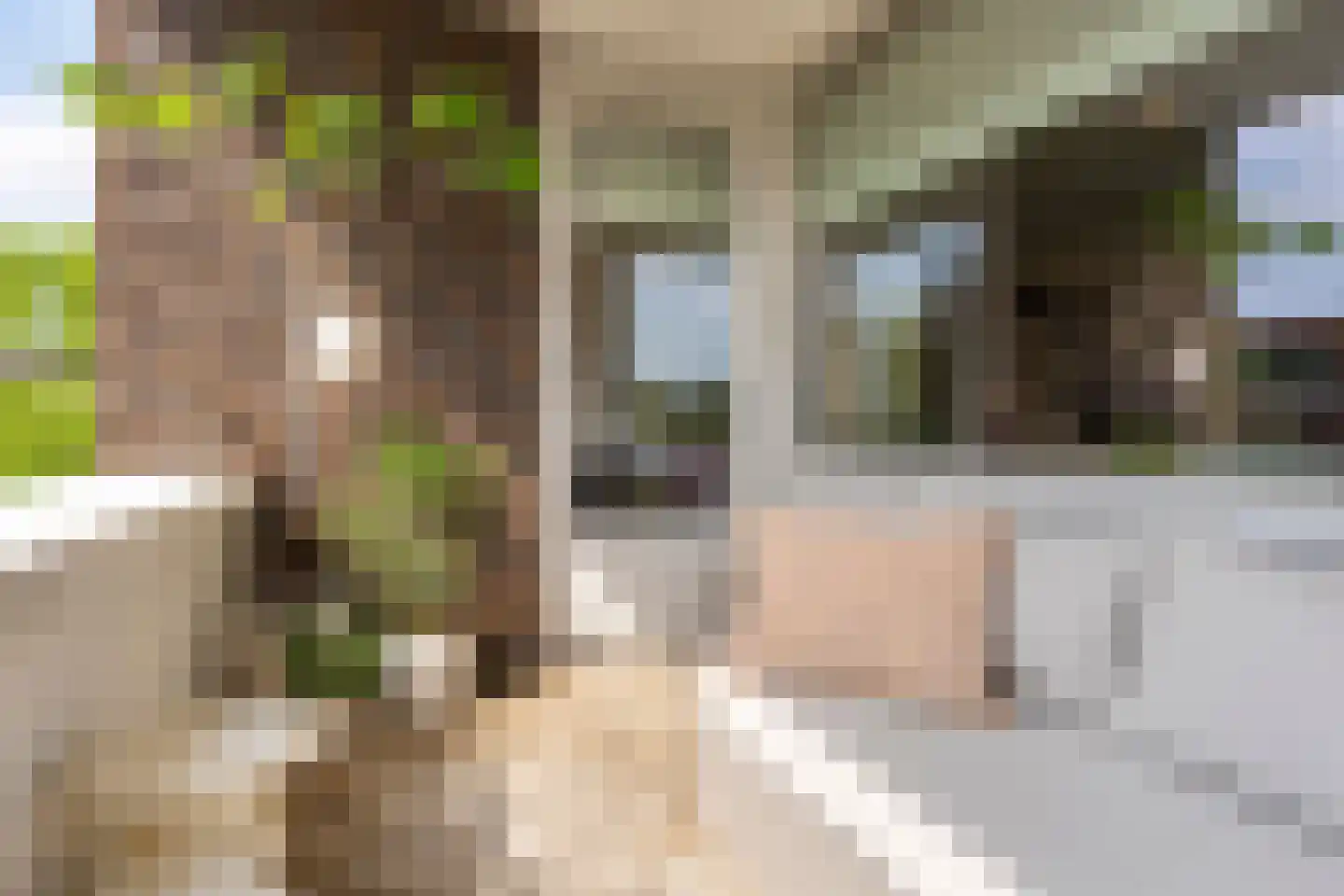 Onderwijsboulevard 460 's-Hertogenbosch thumbnail 21