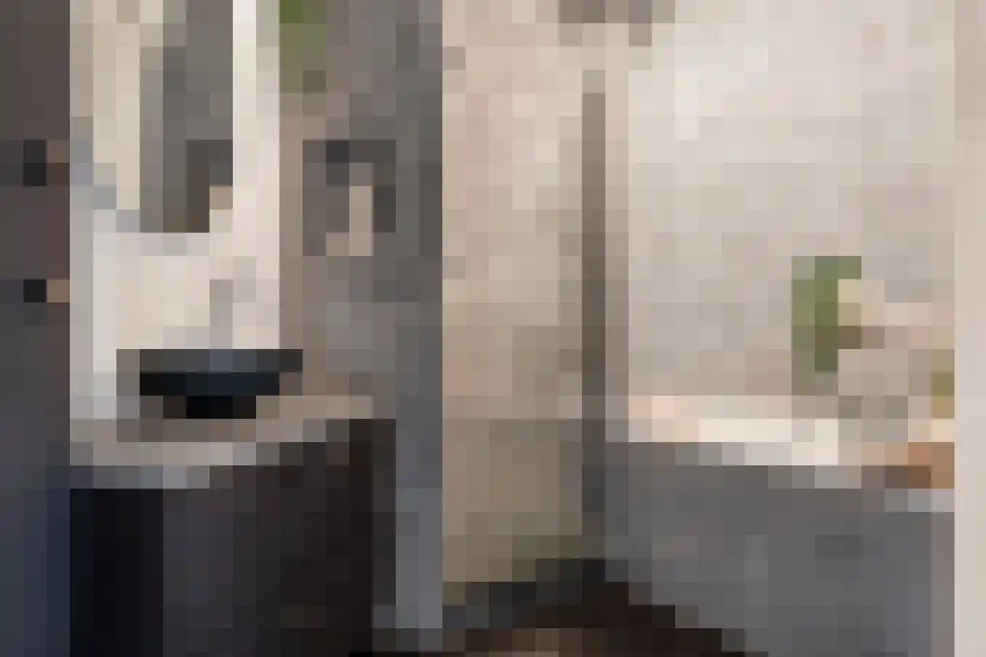 Onderwijsboulevard 460 's-Hertogenbosch thumbnail 30