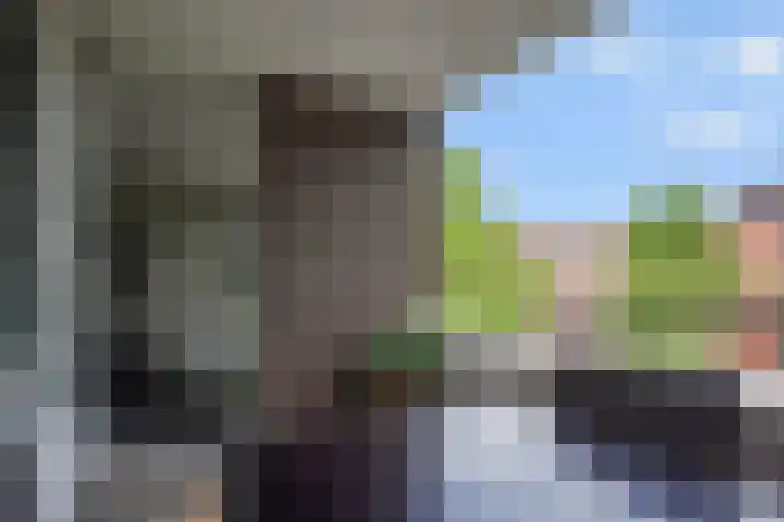 Onderwijsboulevard 474 's-Hertogenbosch thumbnail 14