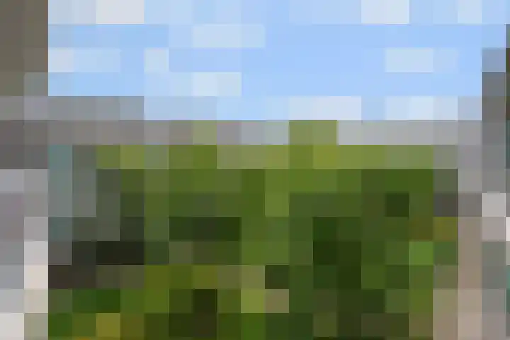 Onderwijsboulevard 474 's-Hertogenbosch thumbnail 32