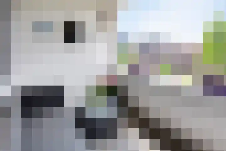 Onderwijsboulevard 486 's-Hertogenbosch thumbnail 11