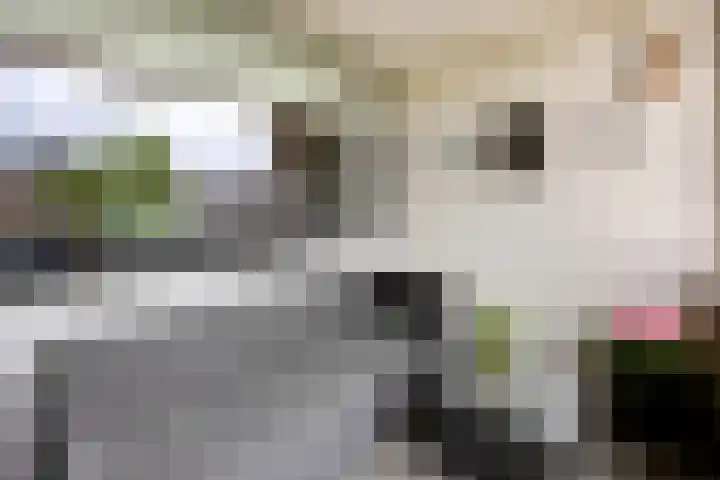 Onderwijsboulevard 486 's-Hertogenbosch thumbnail 13